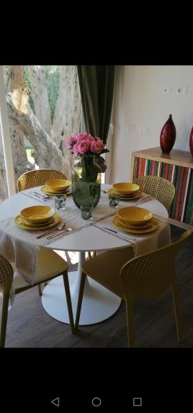 Bouganvillea house